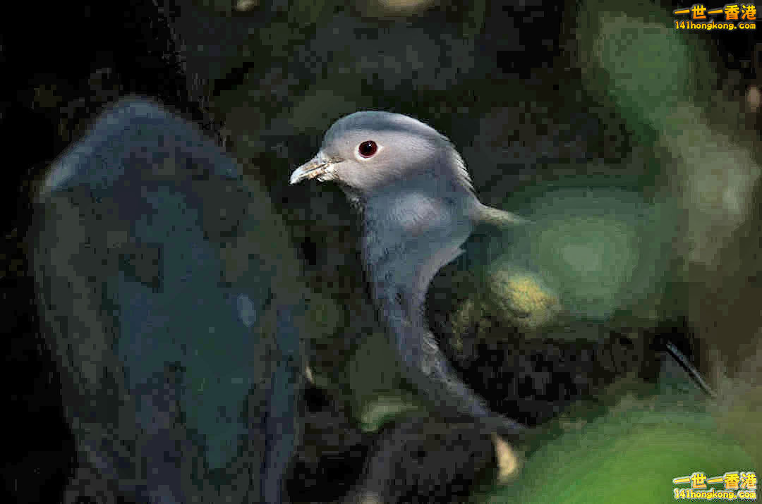 朋友號.jpg