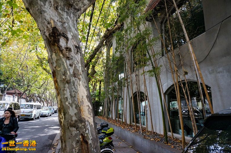 20131125-DSC01702.jpg
