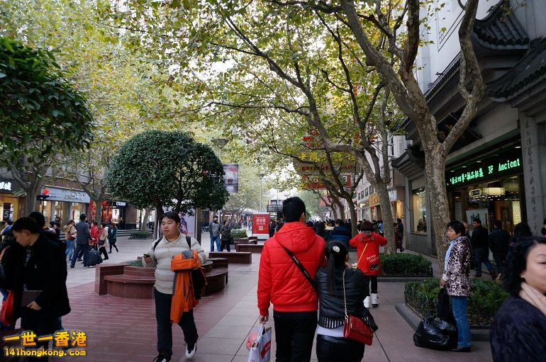 20131127-_DSC1894.jpg