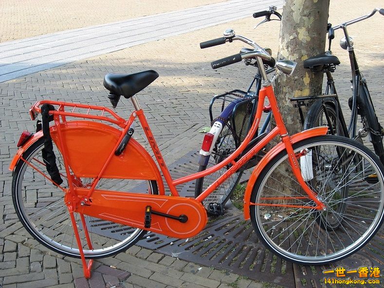 pq9b_amsterdam_bicycle_lock.jpg