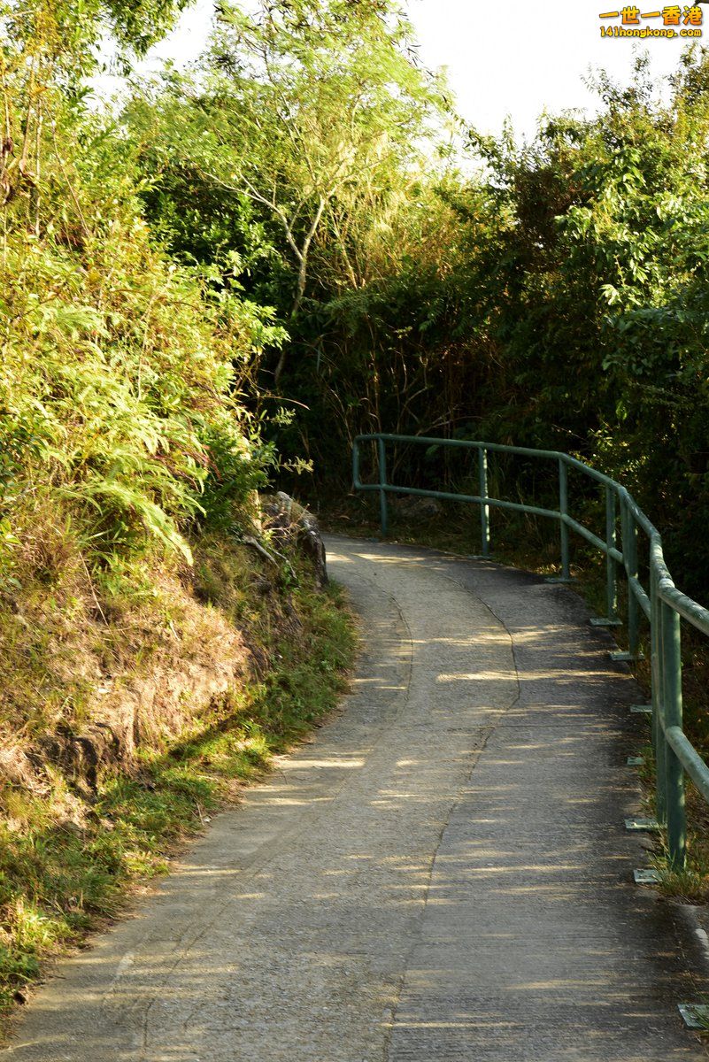 _DSC9758.jpg