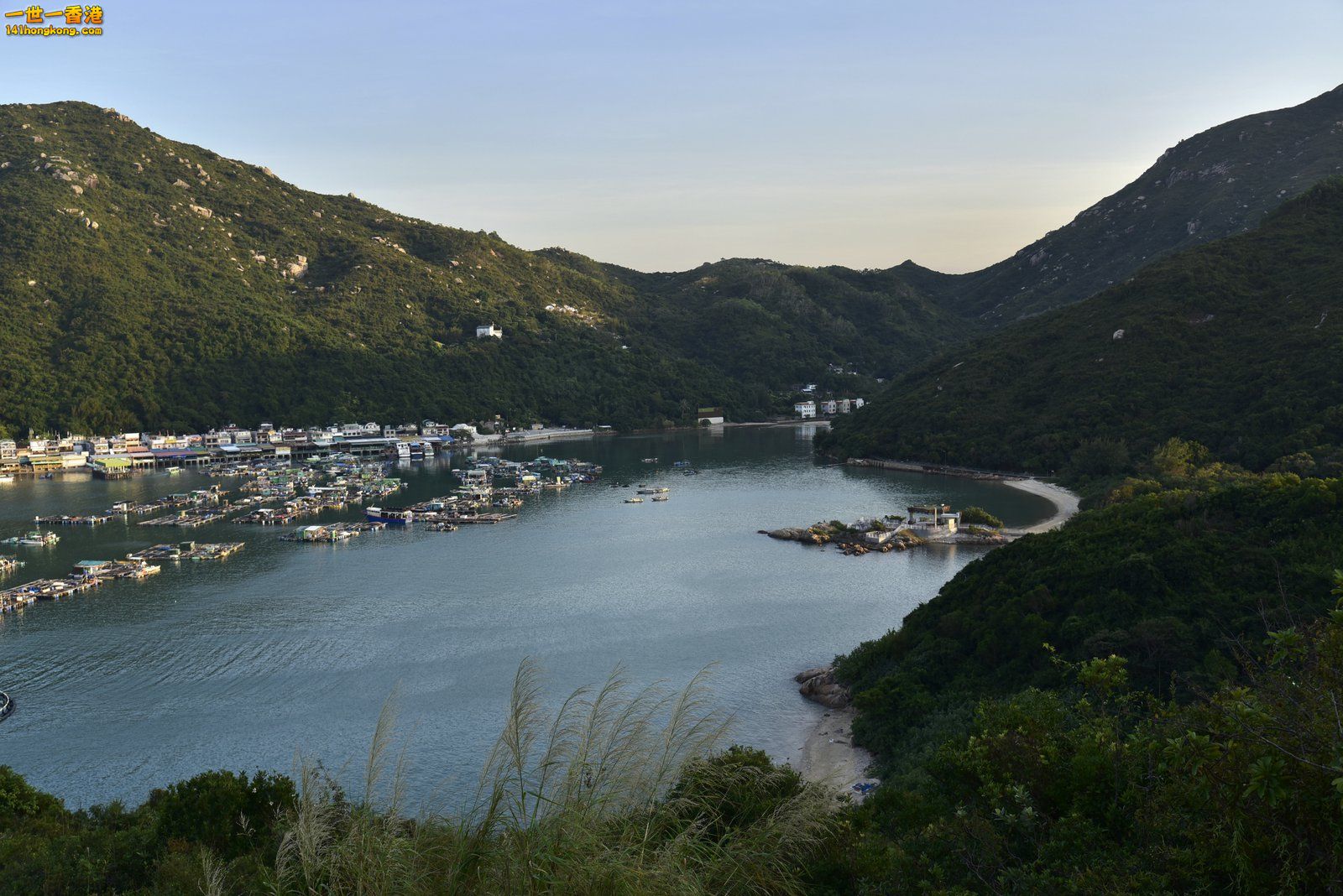 _DSC9795A.jpg