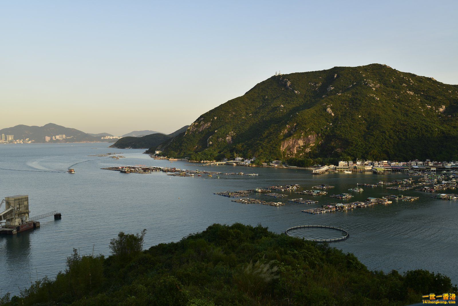 _DSC9797.jpg