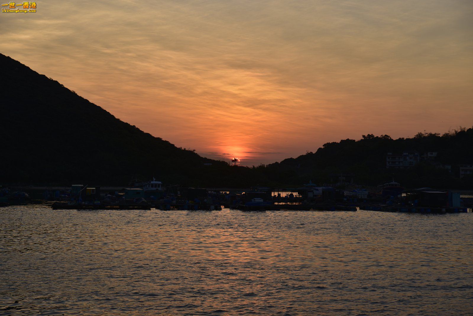 _DSC9802.jpg