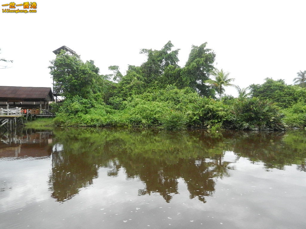 DSCN4497.JPG