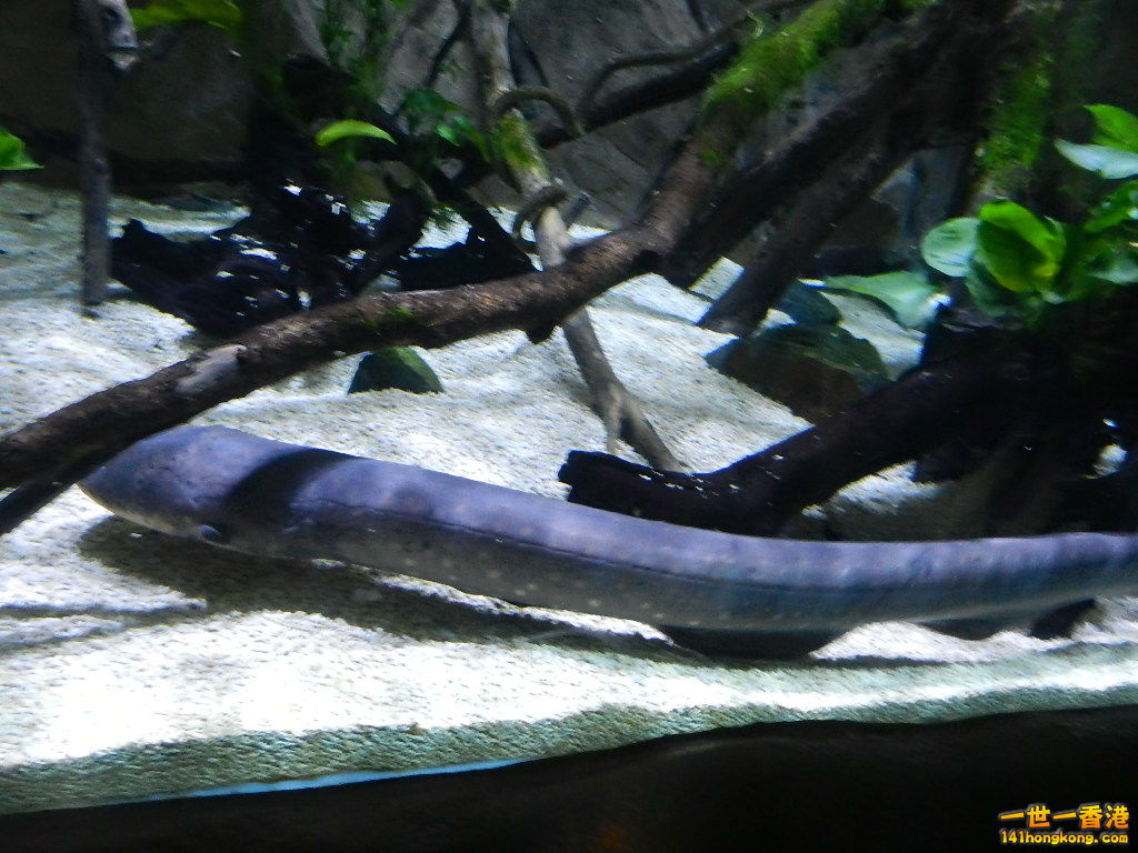 DSCN3786.JPG