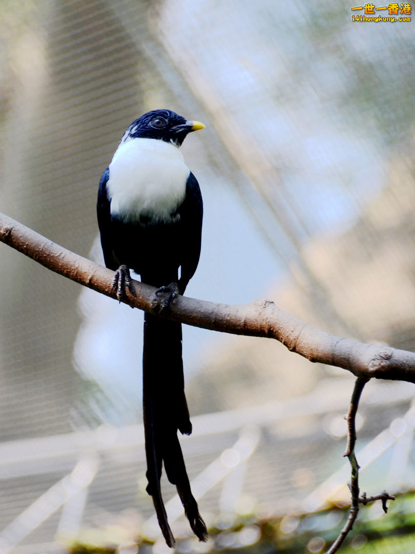 nEO_IMG_DSC_7236.jpg