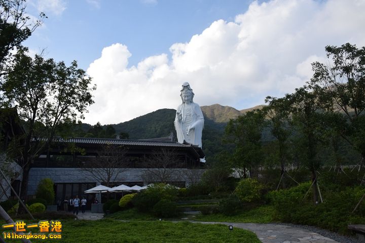DSC_0328.JPG