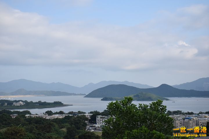 DSC_0331.JPG