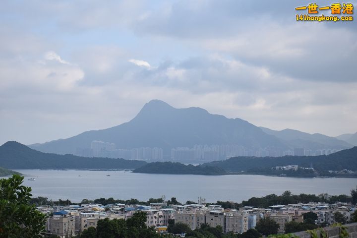 DSC_0332.JPG