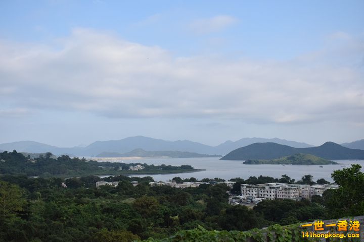 DSC_0333.JPG