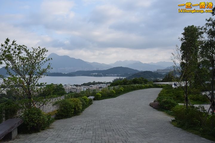 DSC_0337.JPG