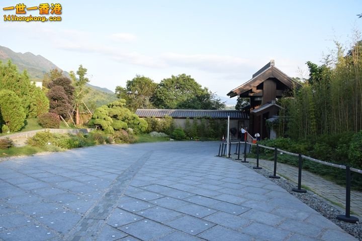 DSC_0399.JPG