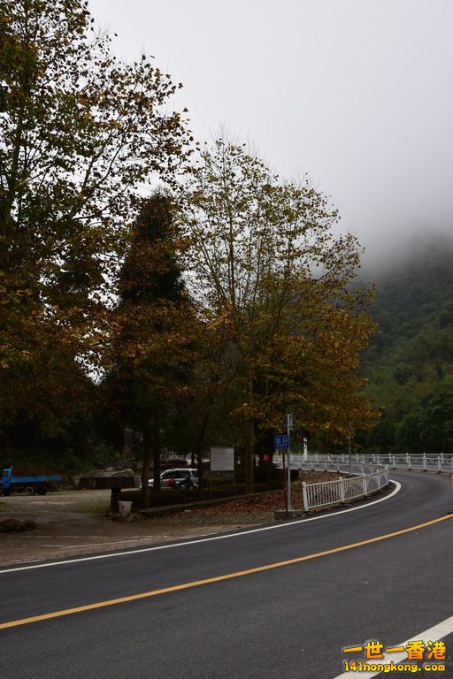 DSC_1558.jpg