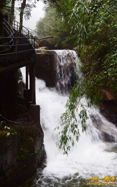 DSC_1592.jpg