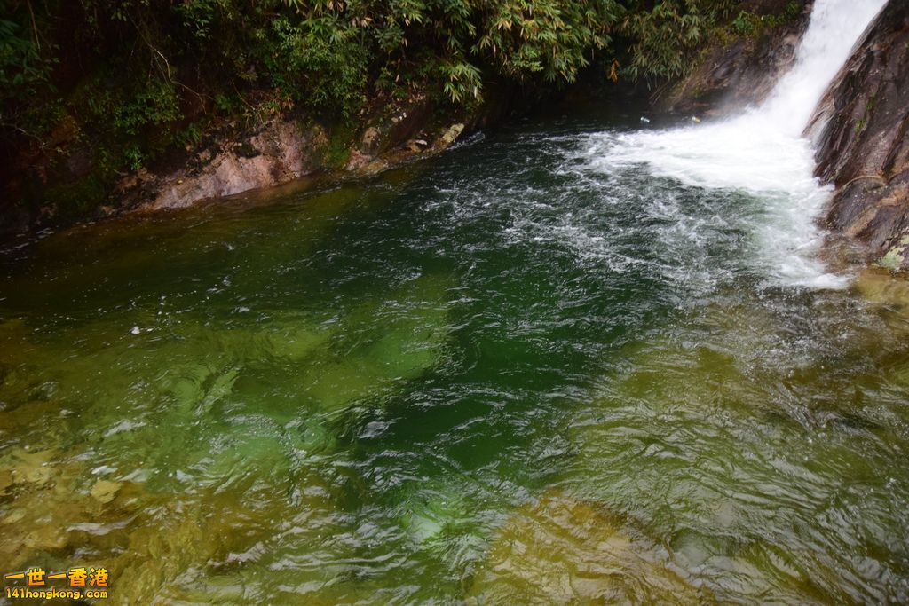 DSC_1612.jpg