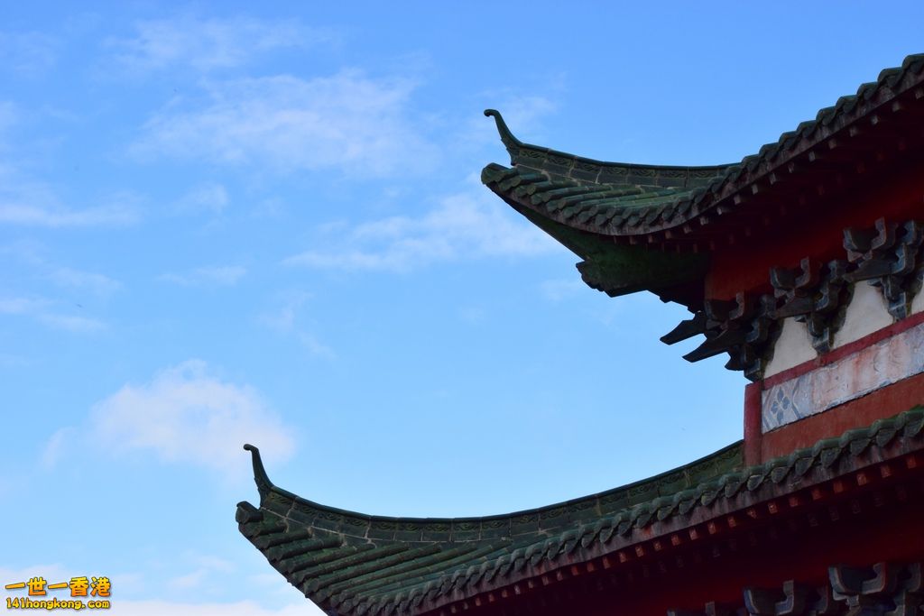 DSC_1657.jpg