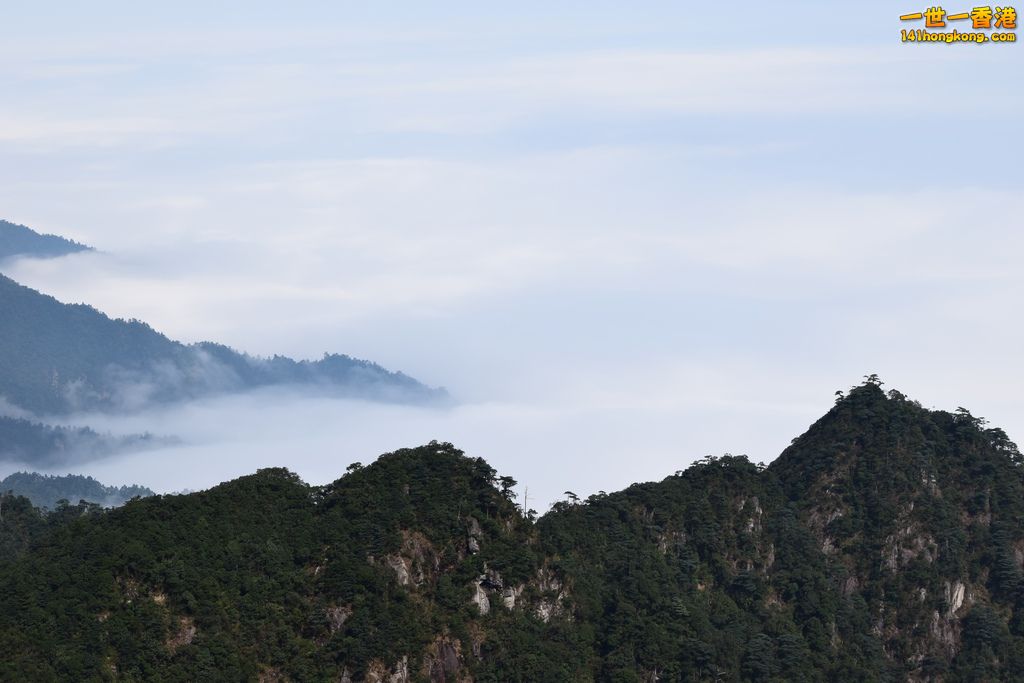 DSC_1670.jpg