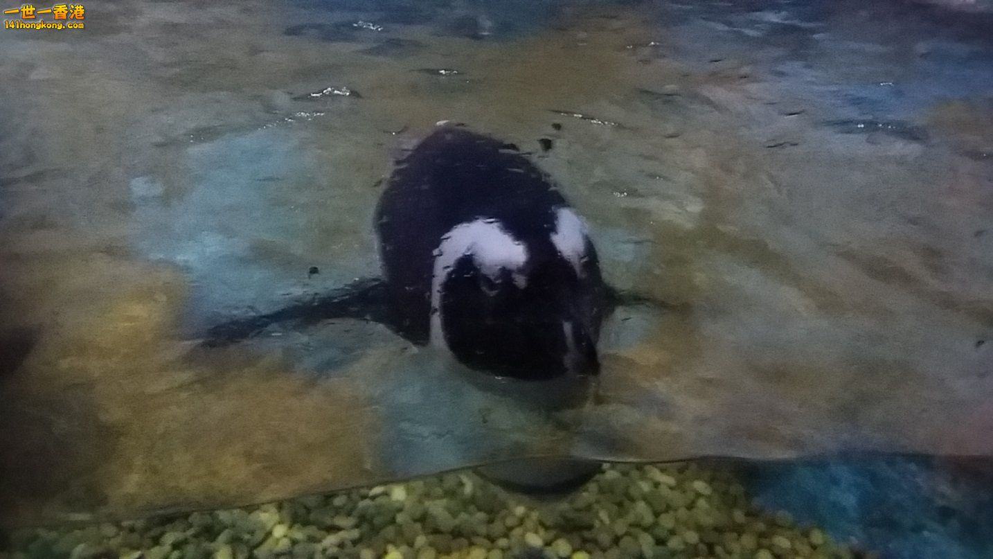 20151113_111826.jpg