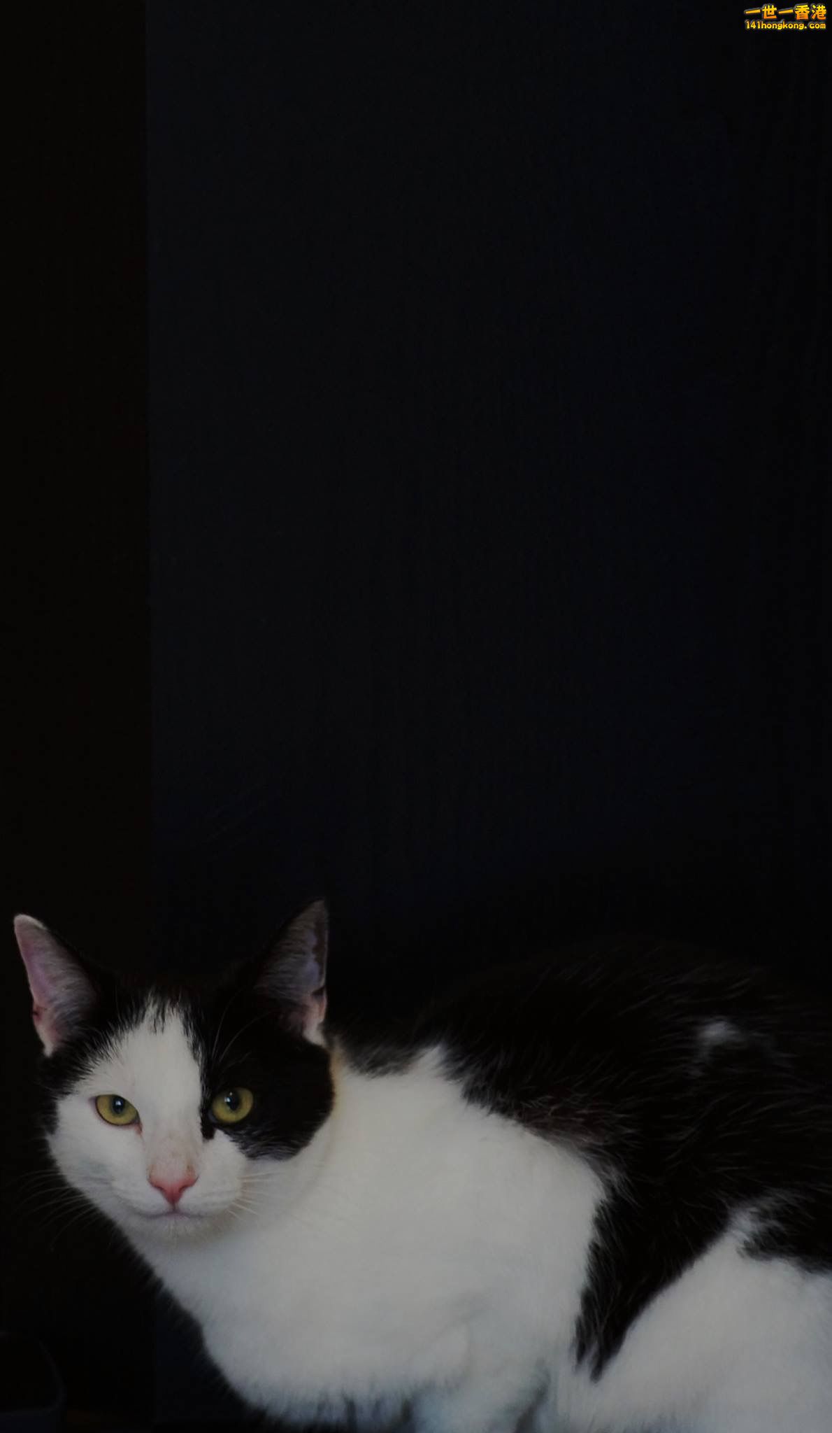 image.jpeg