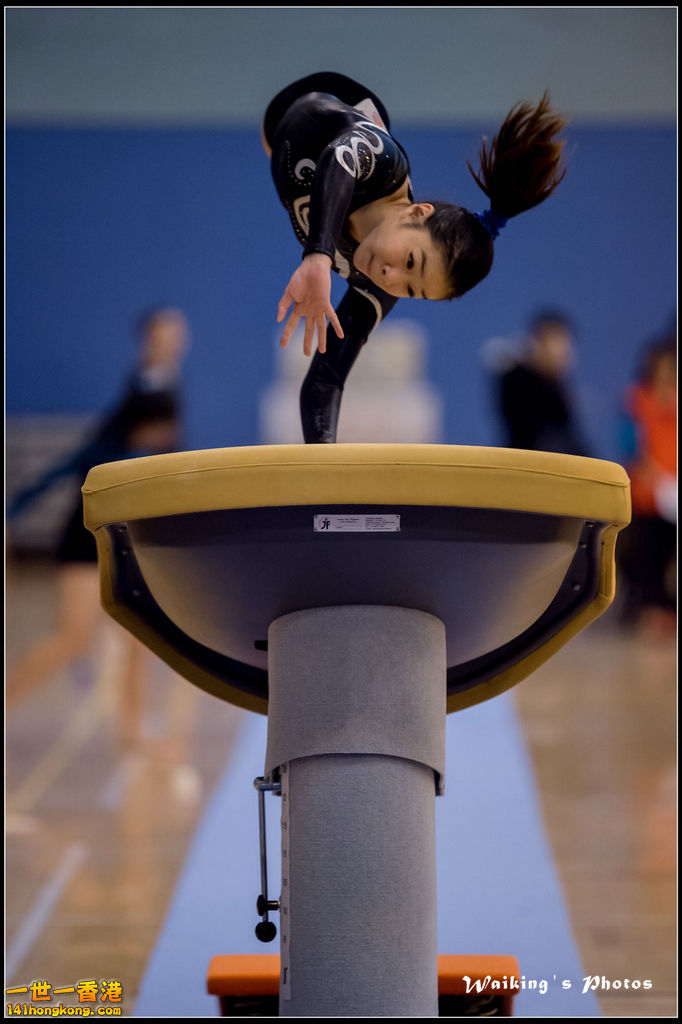 2015-12-13 Artistic Gym 0011.jpg