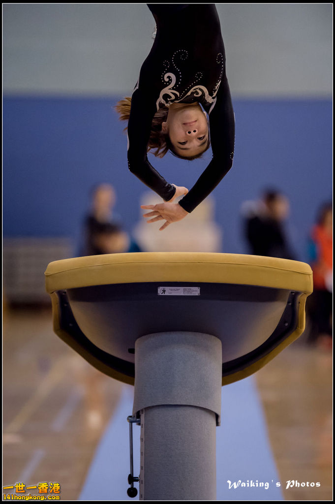 2015-12-13 Artistic Gym 0013.jpg