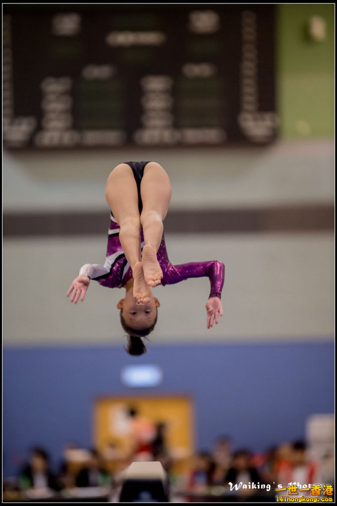 2015-12-13 Artistic Gym 0110.jpg