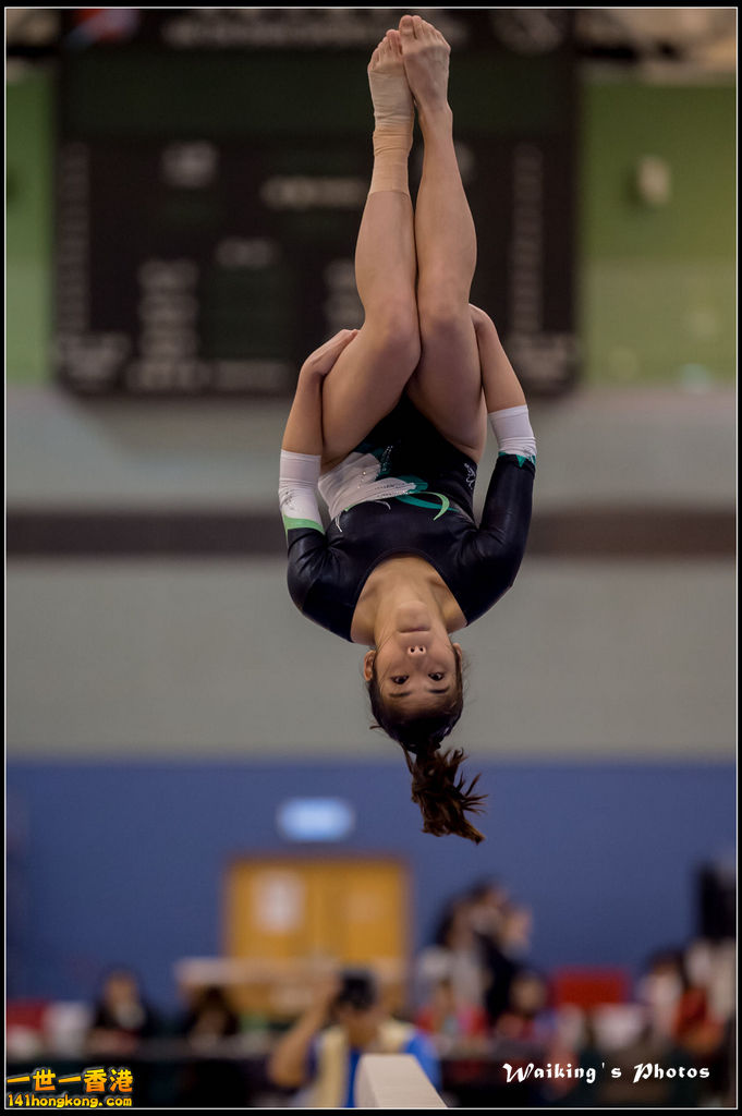 2015-12-13 Artistic Gym 0448.jpg