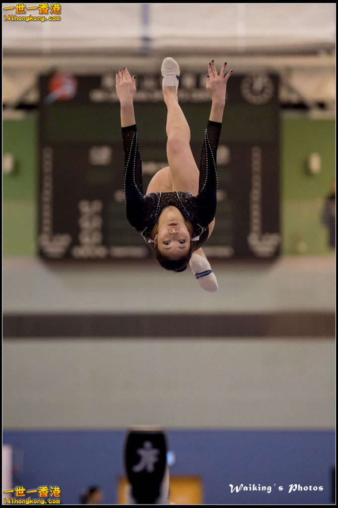 2015-12-13 Artistic Gym 0388.jpg