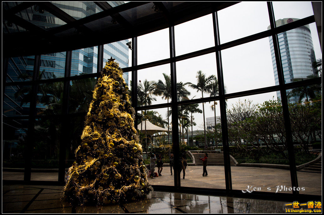 20151220xmas104.jpg