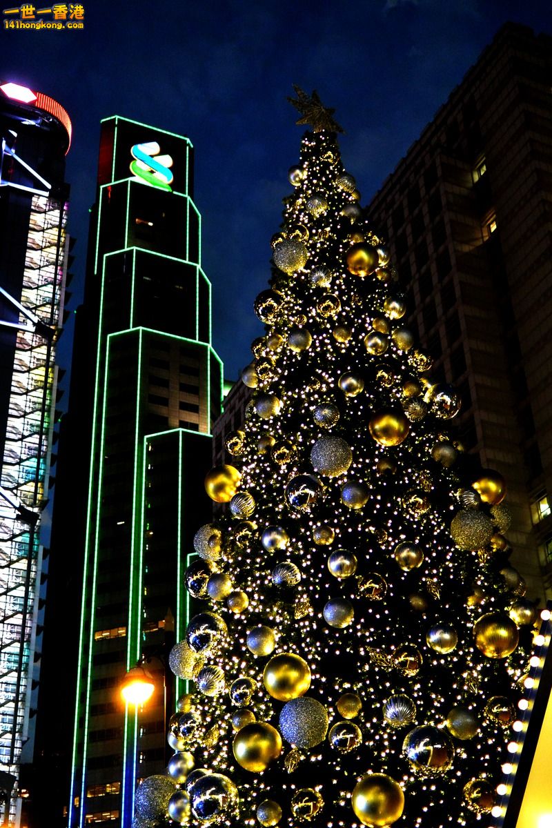 DSC_0178.jpg
