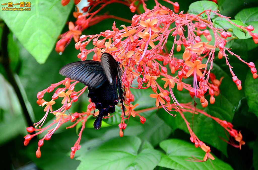 DSC_3425.jpg