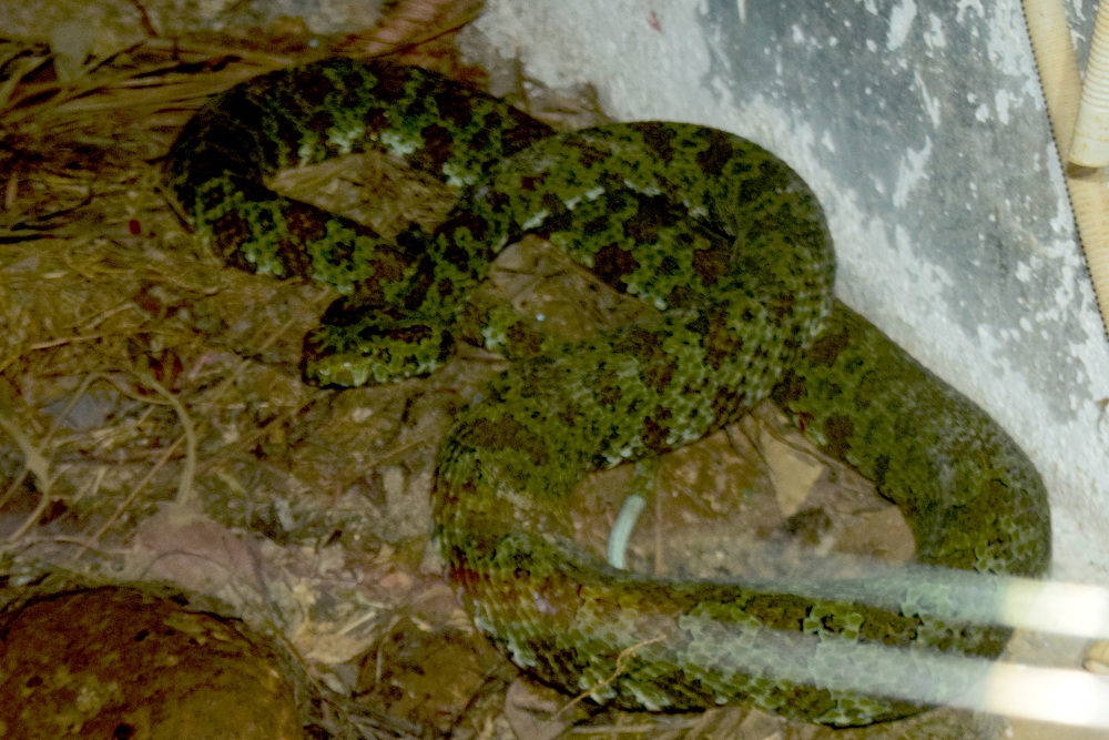 DSC_1575.jpg