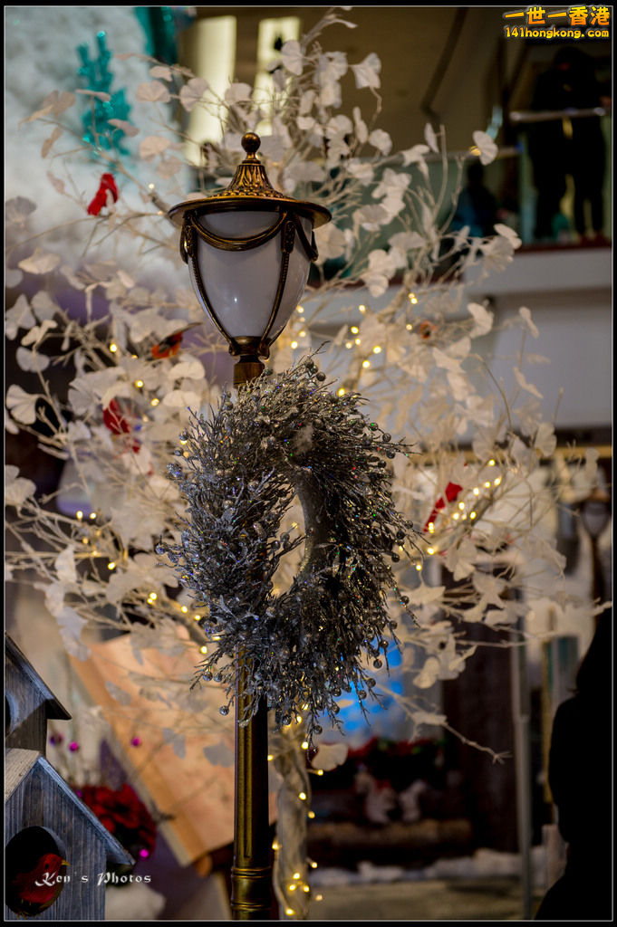 20160101xmas108.jpg