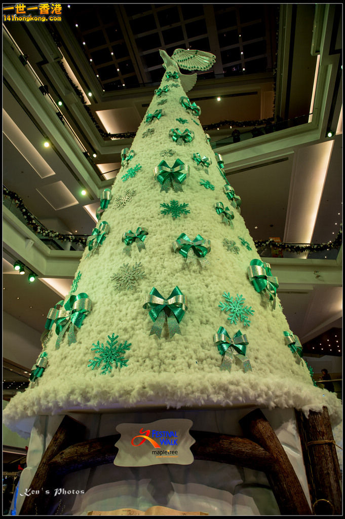 20160101xmas109.jpg