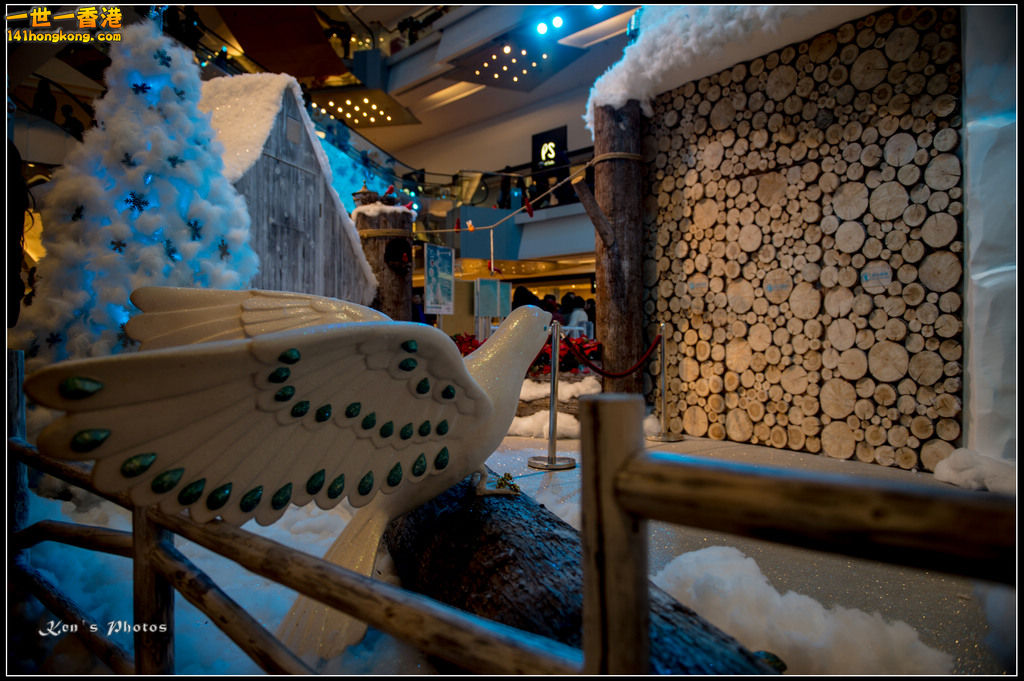 20160101xmas113.jpg