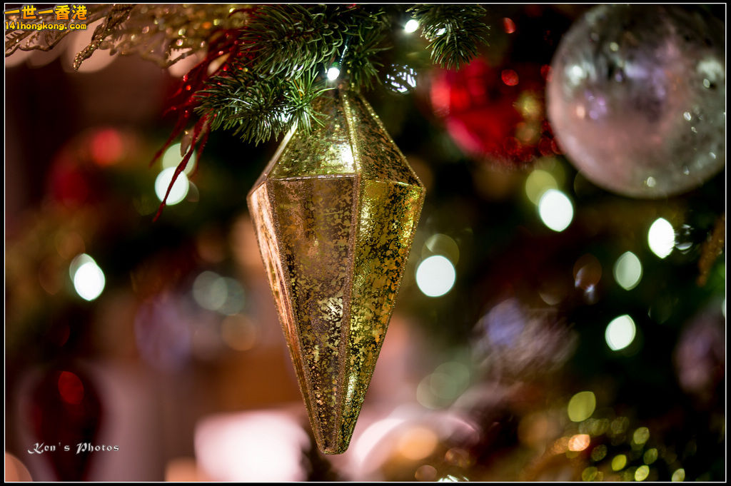 20160101xmas139.jpg