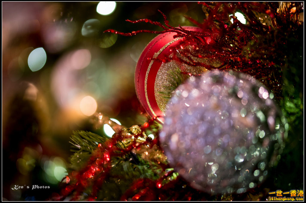 20160101xmas140.jpg