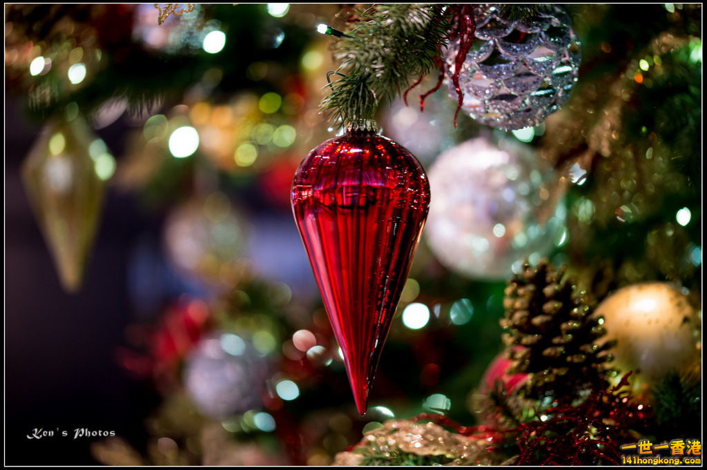 20160101xmas141.jpg