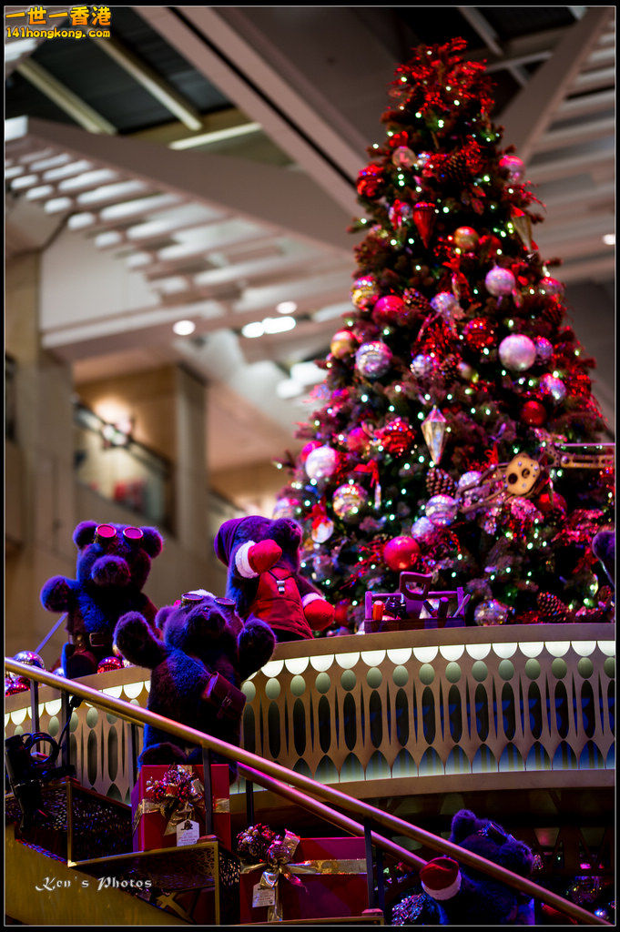 20160101xmas143.jpg