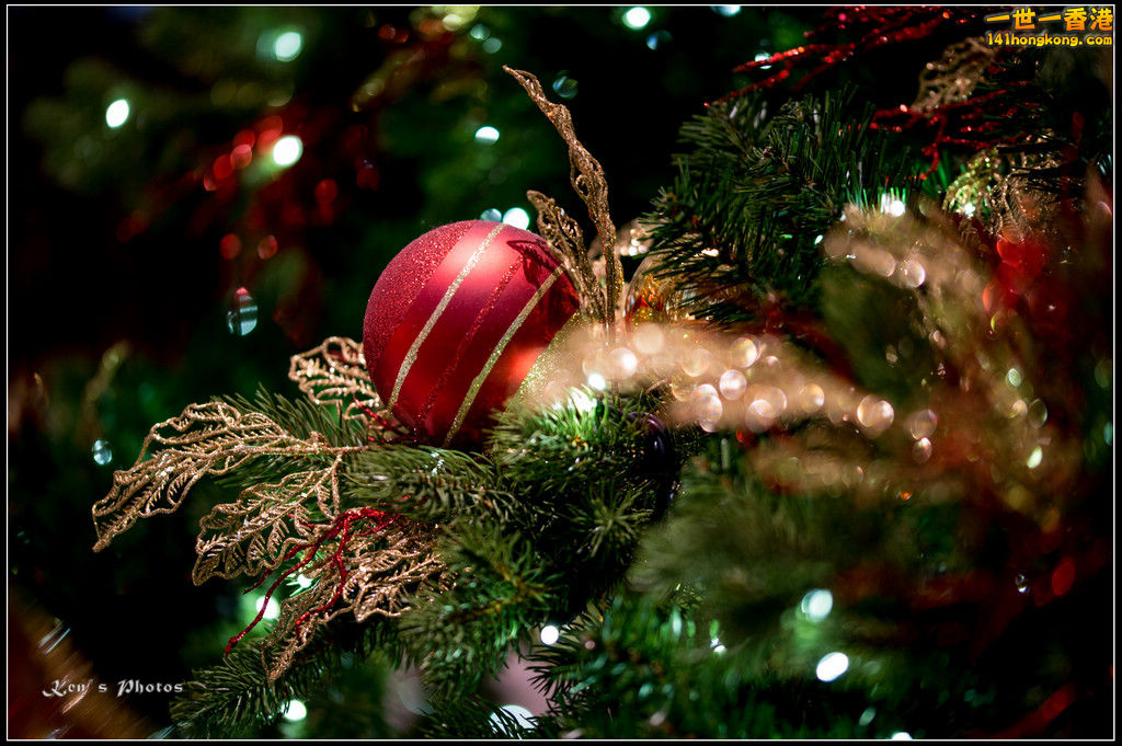 20160101xmas142.jpg