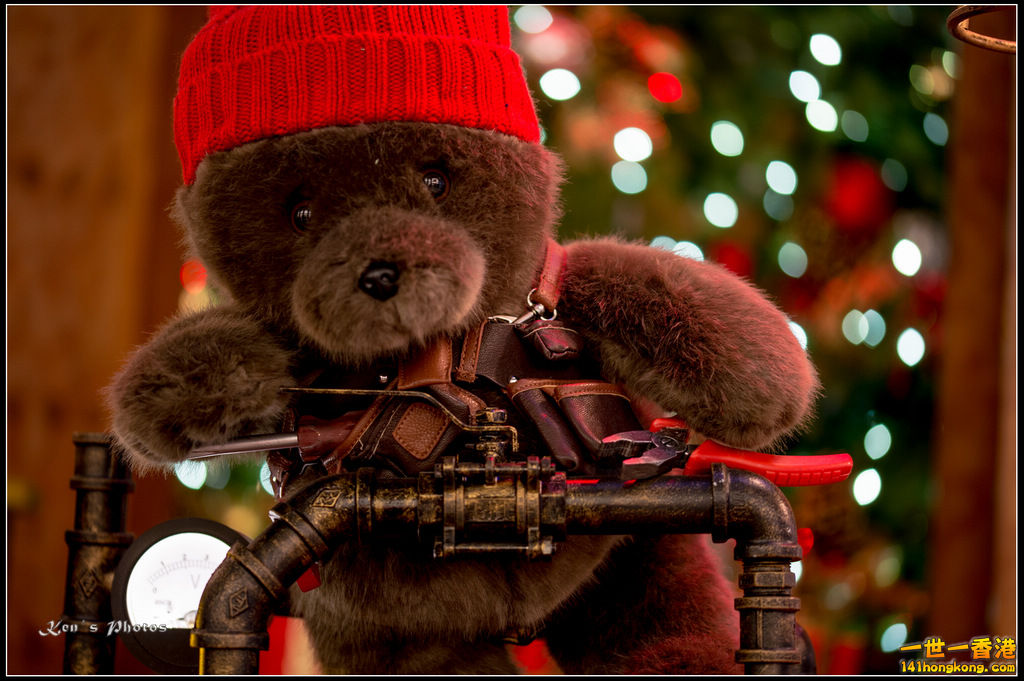 20160101xmas149.jpg