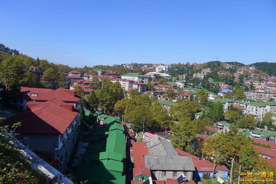 115.jpg
