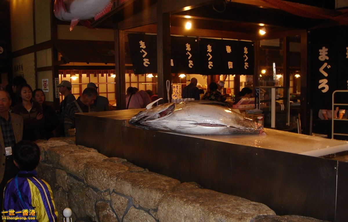 DSC06140.jpg