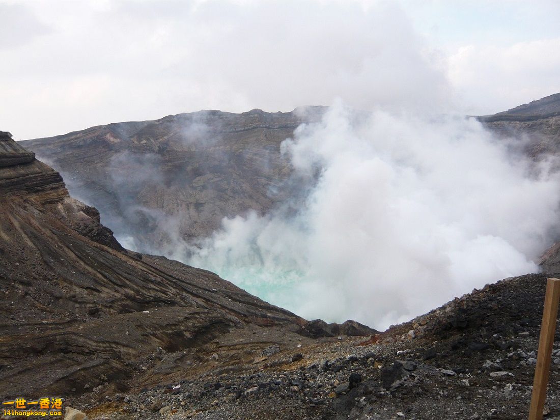 P1010161.jpg