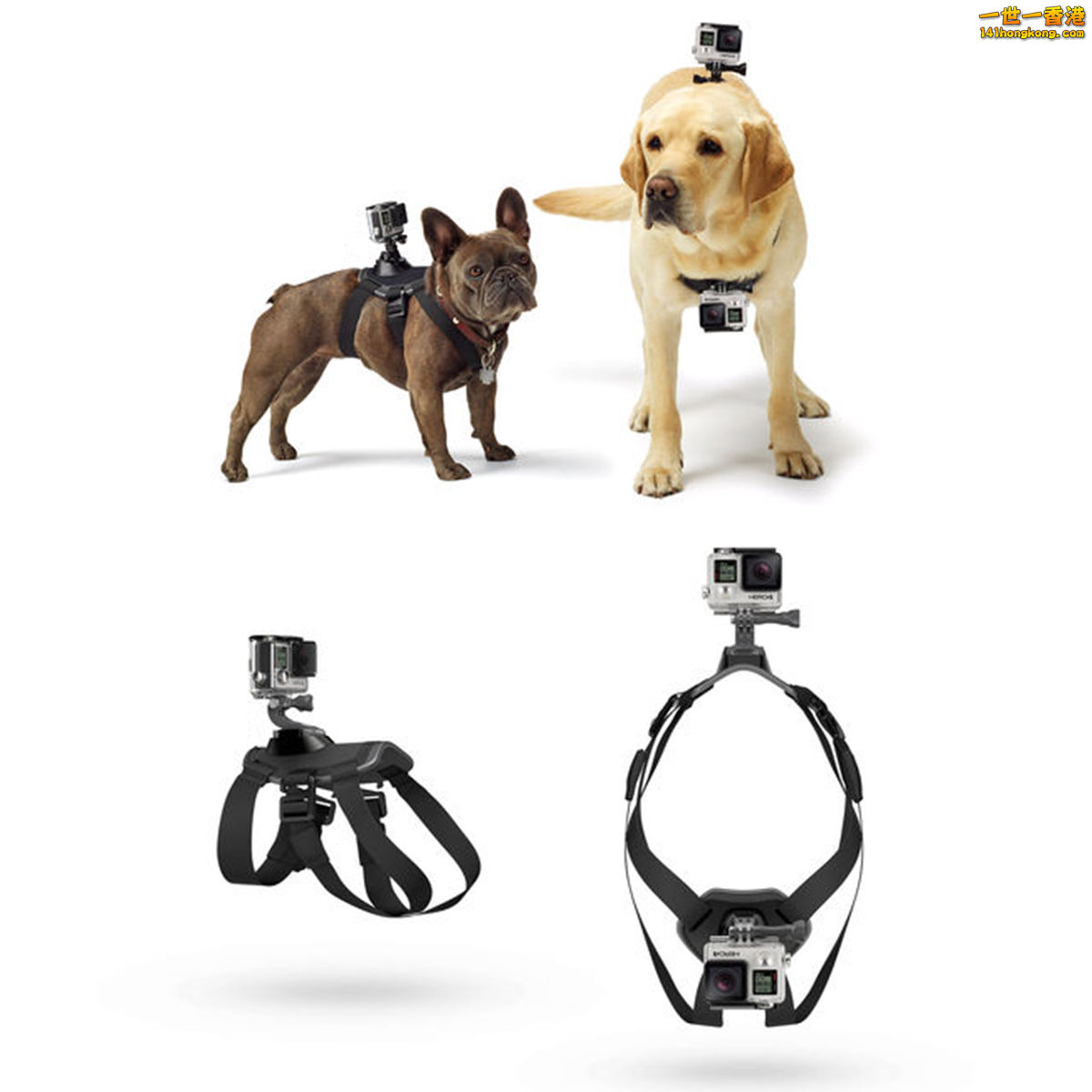 for-SJ4000-Accessories-Belt-Shoulder-Mount-Fetch-Dog-Mount-Harness-Chesty-Strap-.jpg