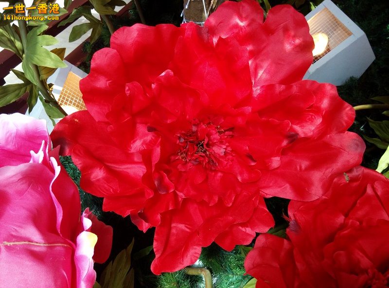 IMG_20160123_141922_HDR 800.jpg
