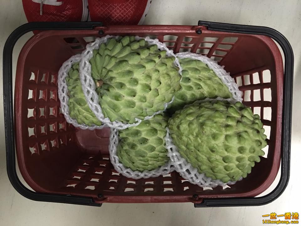 襗迦.jpg