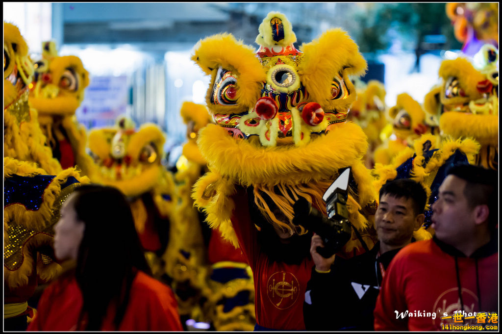 2016-02-08 Night Parade 0362.jpg