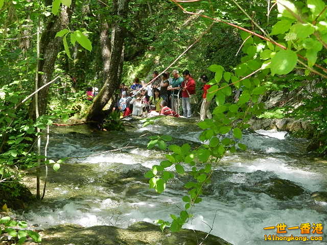 DSCN9075.JPG